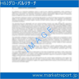 市場と産業調査レポートのイメージ